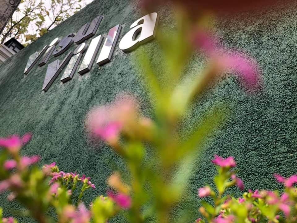 Visu Villa Hotel ハバラナ エクステリア 写真