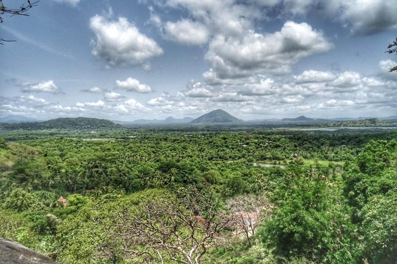 Visu Villa Hotel ハバラナ エクステリア 写真